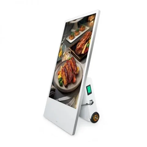 Tsiolkovsky — YXD43S-DU IP65 43 inch Portable Outdoor Battery Power Digital Signage